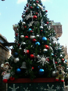 081224-2.JPG